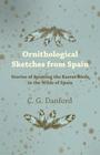 Ornithological Sketches from Spain - Stories of Spotting the Rarest Birds in the Wilds of Spain Cover Image