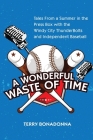 A Wonderful Waste Of Time: Tales From a Summer in the Press Box with the Windy City ThunderBolts and Independent Baseball By Terry Bonadonna Cover Image