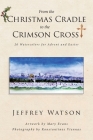From the CHRISTMAS CRADLE to the CRIMSON CROSS: 20 Watercolors for Advent and Easter Cover Image