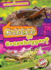 Cricket or Grasshopper? By Mari C. Schuh Cover Image