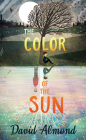 The Color of the Sun By David Almond Cover Image