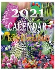 Calendar 2021: Edible & useful Plants By Elena Pankey, Elena Bulat Cover Image