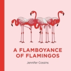 A Flamboyance of Flamingos By Jennifer Cossins Cover Image