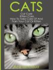 Cats: Cat Care: Kitten Care: How To Take Care Of And Train Your Cat Or Kitten By Ace McCloud Cover Image