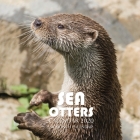Sea Otters Calendar 2020: 16 Month Calendar By Golden Print Cover Image
