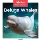 Beluga Whales (Polar Animals) By Leo Statts Cover Image