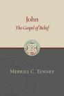 John: The Gospel of Belief: An Analytic Study of the Text Cover Image