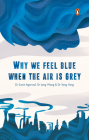 Why We Feel Blue When the Air is Grey  Cover Image