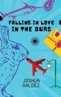 Falling In Love In The Burg By Joshua Valdez Cover Image