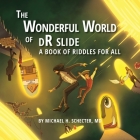 The Wonderful World of dR slide: A Book of Riddles for All By Michael H. Schecter Cover Image