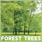 Forest Trees Calendar 2021: Official Forest Trees Calendar 2021, 12 Months Cover Image