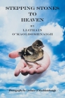 Stepping Stones to Heaven Cover Image