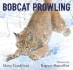 Bobcat Prowling Cover Image