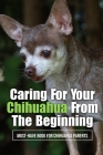 Caring For Your Chihuahua From The Beginning: Must-Have Book For Chihuahua Parents: How Do You Raise A Well Behaved Chihuahua? By Queen Kalmer Cover Image