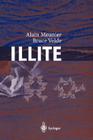Illite: Origins, Evolution and Metamorphism By Alain Meunier, Bruce D. Velde Cover Image