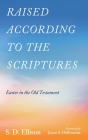 Raised According to the Scriptures: Easter in the Old Testament By S. D. Ellison, Jason S. Derouchie (Foreword by) Cover Image