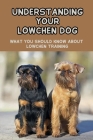 Understanding Your Lowchen Dog: What You Should Know About Lowchen Training: How To Care For A Lowchen Dog Cover Image