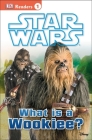 DK Readers L1: Star Wars: What Is A Wookiee? (DK Readers Level 1) By Laura Buller Cover Image