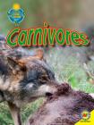 Carnivores (Fascinating Food Chains) By Heather C. Hudak Cover Image