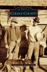 Colfax County By Stephen Zimmer, Gene Lamm Cover Image