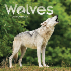 2023 Wolves Mini Calendar By Carousel Calendars (Editor) Cover Image