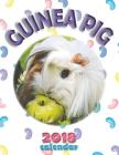 Guinea Pig 2018 Calendar By Wall Publishing Cover Image