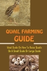 Quail Farming Guide: Ideal Guide On How To Raise Quails On A Small Scale Or Large Scale: How To Raise Quail For Meat Cover Image