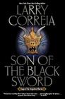 Son of the Black Sword (Saga of the Forgotten Warrior #1) Cover Image