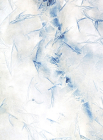 Meghann Riepenhoff: Ice Cover Image