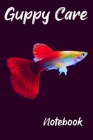 Guppy Care Notebook: Customized Compact Aquarium Logging Book, Thoroughly Formatted, Great For Tracking & Scheduling Routine Maintenance, I By Fishcraze Books Cover Image
