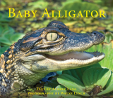 Baby Alligator (Nature Babies) By Aubrey Lang, Wayne Lynch (Photographer) Cover Image