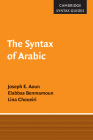 The Syntax of Arabic (Cambridge Syntax Guides) By Joseph E. Aoun, Elabbas Benmamoun, Lina Choueiri Cover Image