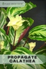 Propagate Calathea: Plants guide By Alex Kosivan Cover Image