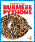 Burmese Pythons (Invasive Species) By Alicia Z. Klepeis Cover Image