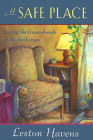 A Safe Place: Laying the Groundwork of Psychotherapy By Leston Havens Cover Image