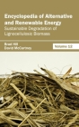 Encyclopedia of Alternative and Renewable Energy: Volume 12 (Sustainable Degradation of Lignocellulosic Biomass) By Brad Hill (Editor), David McCartney (Editor) Cover Image