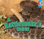 A Rattlesnake's World (Eyediscover) By Katie Gillespie Cover Image