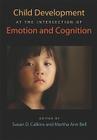Child Development at the Intersection of Emotion and Cognition (Human Brain Development) By Susan D. Calkins (Editor), Martha Ann Bell (Editor) Cover Image