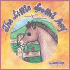 The Little Spotted Pony By Sandy Hays Cover Image