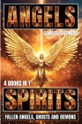 Angels: Spirits, Fallen Angels, Ghosts and Demons By Samuel Shepherd Cover Image
