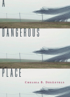 A Dangerous Place By Chelsea B. Desautels Cover Image