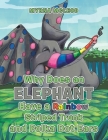 Why Does an Elephant Have a Rainbow Striped Trunk and Polka Dot Ears By Myrna McLeod Cover Image