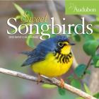 Audubon Sweet Songbirds Mini Wall Calendar 2020 By National Audubon Society, Workman Calendars (With) Cover Image