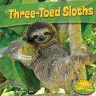 Three-Toed Sloths (Up a Tree) By Willow Clark Cover Image