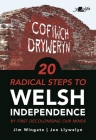Welsh Independence: 20 Practical Steps: ...by First Decolonising Your Mind By Jim Wingate, Jen Llywelyn Cover Image