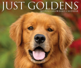 Goldens 2025 6.2 X 5.4 Box Calendar By Willow Creek Press Cover Image