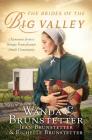 The Brides of the Big Valley: 3 Romances from a Unique Pennsylvania Amish Community By Wanda E. Brunstetter, Jean Brunstetter, Richelle Brunstetter Cover Image