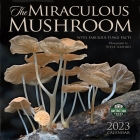 Miraculous Mushroom 2023 Wall Calendar By Steve Axford Cover Image