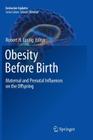 Obesity Before Birth: Maternal and Prenatal Influences on the Offspring (Endocrine Updates #30) By Robert H. Lustig (Editor) Cover Image