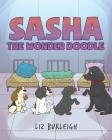 Sasha the Wonder Doodle By Liz Burleigh Cover Image